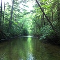 Laurel Fork Creek, Big South Fork - 05